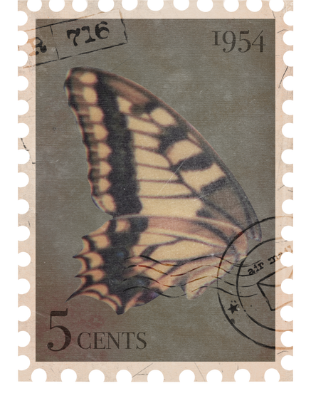 Vintage Postage Stamp with Butterfly